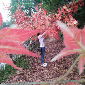 Kiều Thơm profile icon