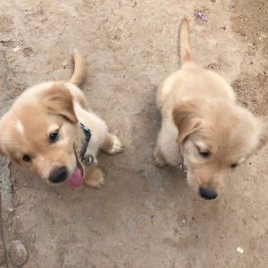 Ilada Passorn profile icon