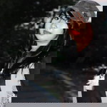 Ekha Rati profile icon
