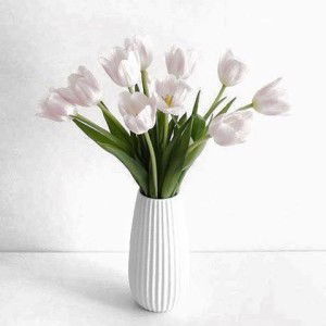 Novi Tiyasari profile icon