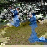 Fyqa Nurul profile icon