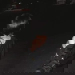 Vonj Tinny Raine profile icon