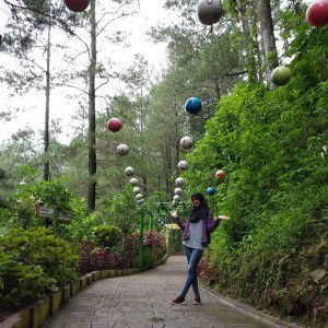 Andry Novieta S profile icon