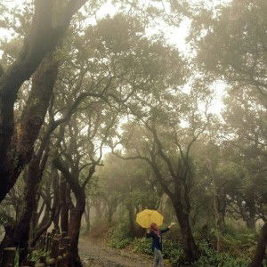 Dwi Youliati profile icon