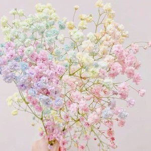 Ulfa Nurlatifah profile icon