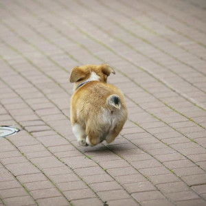 Neng Nch profile icon