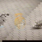 Neng Nch profile icon