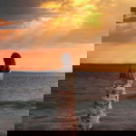 Mộc Miên profile icon