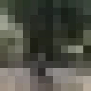 sally rosaline profile icon