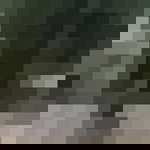 sally rosaline profile icon