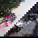 Ťhe Öne profile icon