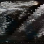 Soedvipa profile icon
