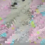 sanjaeline Lovelove profile icon