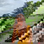 Pirun Nawatatna profile icon