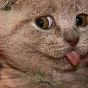 Angkana Boontulo profile icon