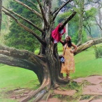 Manju Vinod profile icon
