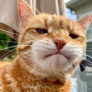 Sunanta Tey profile icon