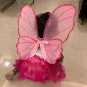 Vilashini Bala Krishnan profile icon