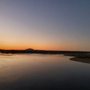 BeachBum profile icon