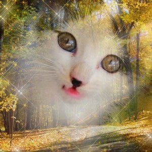 Norliza profile icon