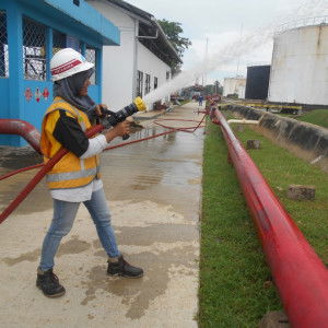 fitri aulia profile icon