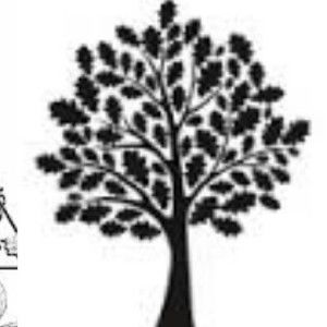 ammelia lim profile icon