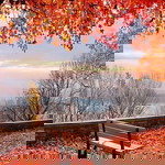 Quên Tên profile icon