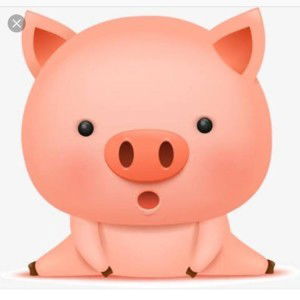 น้องหมู บูริน profile icon