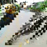 ด.ญ. กนกวรรณ profile icon