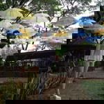 Diyana Diy profile icon