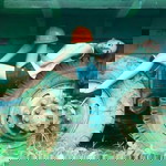 Lie'Ange Endrico Bernabe profile icon