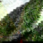 Ellen Bachtiar profile icon