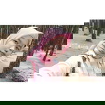 Kyun Jah Gebby profile icon