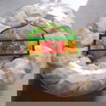 Elliz Kusuma profile icon