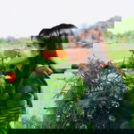 Thanh Na profile icon