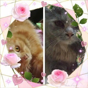 Karmila Mila profile icon