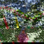 Mira Mariyam profile icon