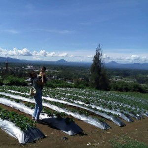 Suzmi Antika profile icon