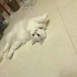 คุณแม่วัยใส profile icon