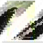 Ika Hayati profile icon