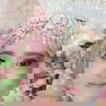 Dwi Maimunah profile icon