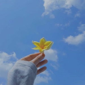 Aminah Rifai profile icon