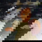 Jen Remollo profile icon