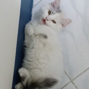 นาย 'ตี้ นาย profile icon