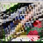 QueeNeva Rizuky profile icon