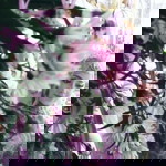 Yuyun Lazark Kertia profile icon