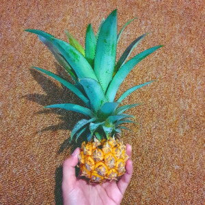 Aisyah Diana profile icon