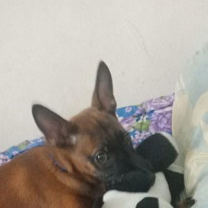 Fati Fati profile icon