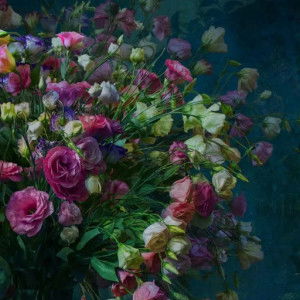 Erma Aulia profile icon