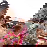 ฐิติกานต์ ศรีสุพจนานนท์ profile icon